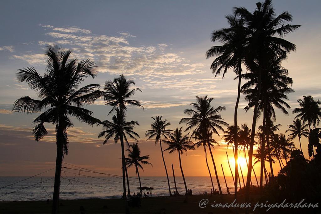 Lion'S Rest Hotell Weligama Rum bild