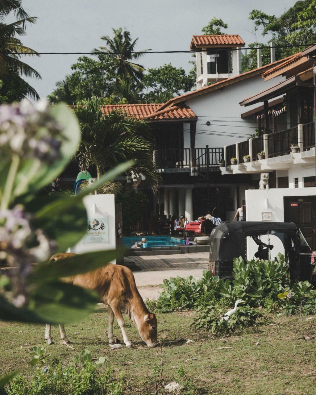 Lion'S Rest Hotell Weligama Exteriör bild